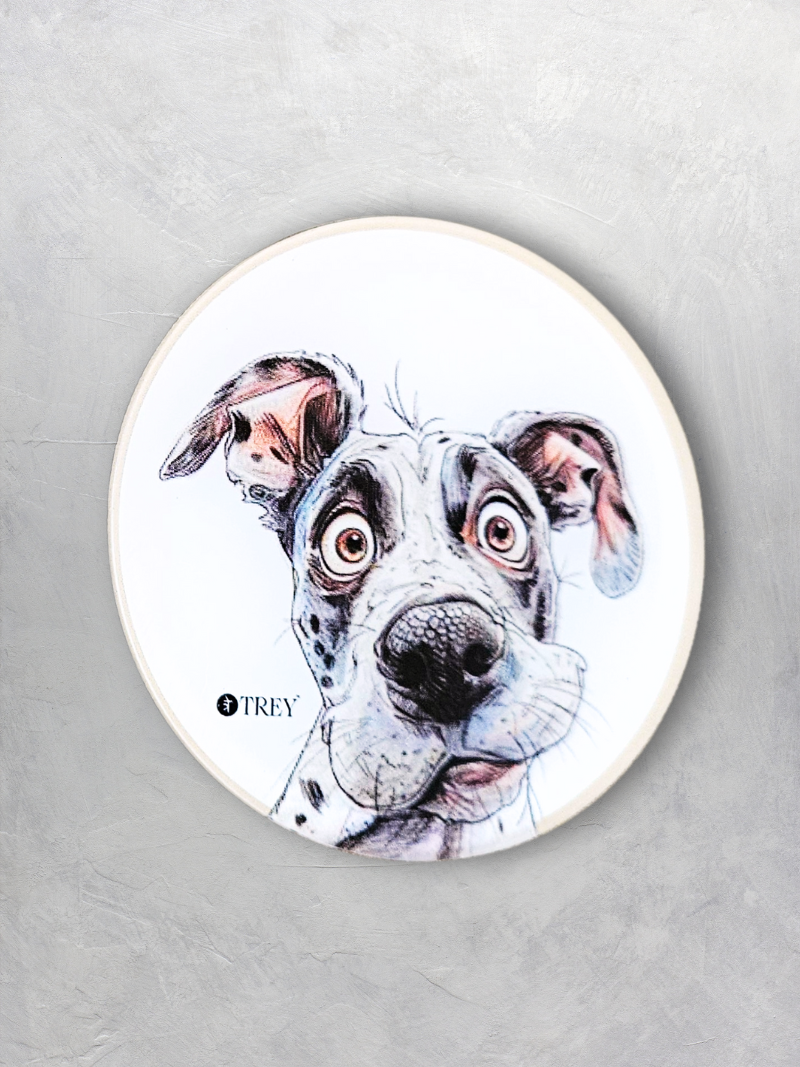 Funny Surprised Dog Waterproof Coasters for Tea, Coffee, Beer