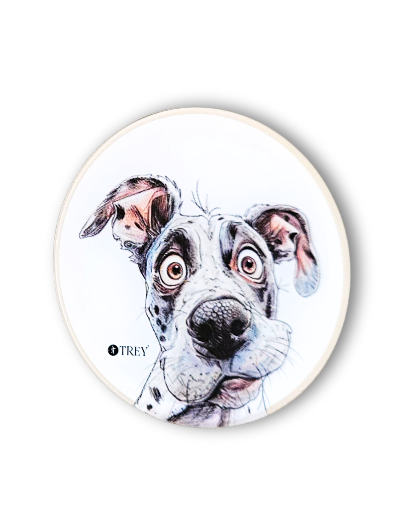 Quirky Funny Dogs Waterproof Coasters for Tea, Coffee, Beer- Set of 2